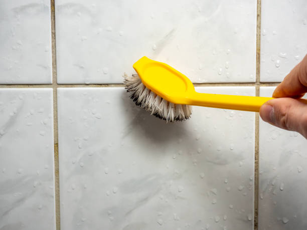  Petersburg, MI Mold Removal Pros