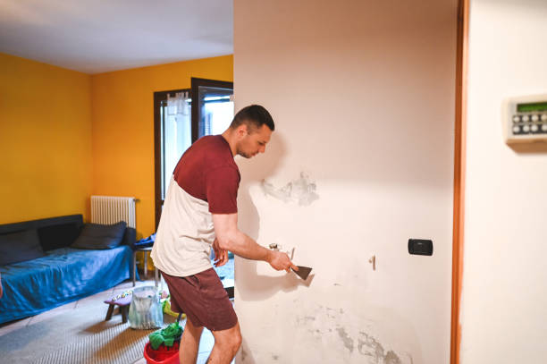 Best Mold Inspection  in Petersburg, MI